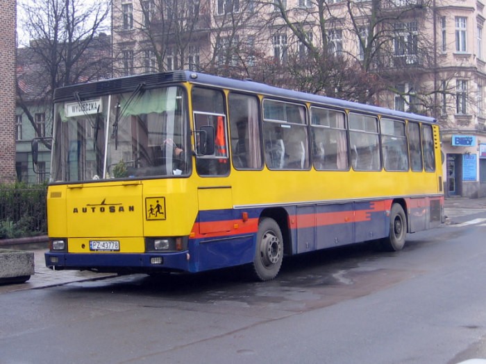 185152transbus.jpg